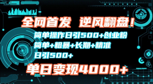 全网首发，简单操作日引500 创业粉，简单 粗暴 长期 精准-云壹网创