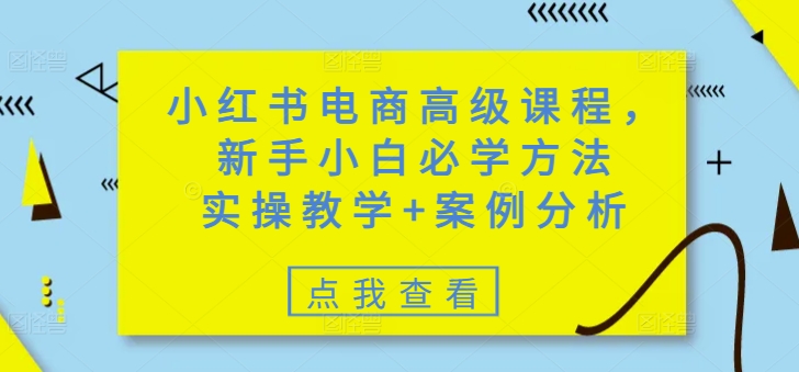 小红书电商高级课程，新手小白必学方法，实操教学+案例分析-云壹网创