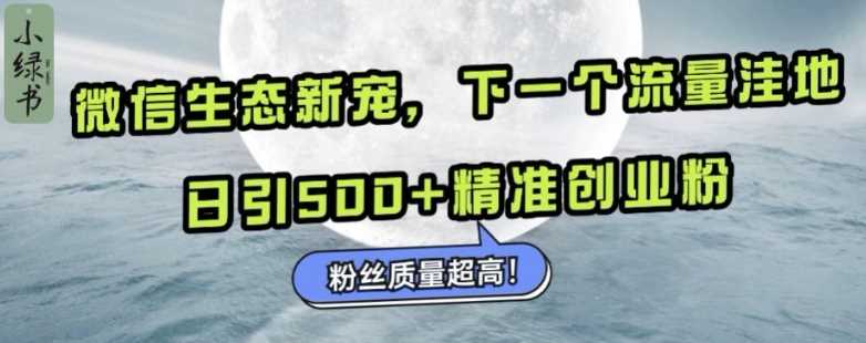 微信生态新宠小绿书：下一个流量洼地，日引500+精准创业粉，粉丝质量超高-云壹网创