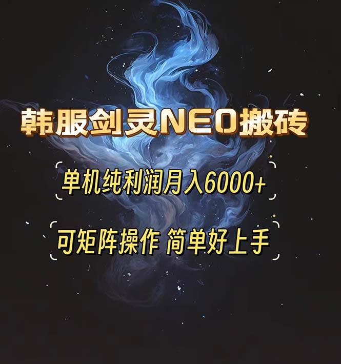 （13435期）韩服剑灵NEO搬砖攻略，单机纯利润月入6000+ 可矩阵操作，简单好上手。-云壹网创