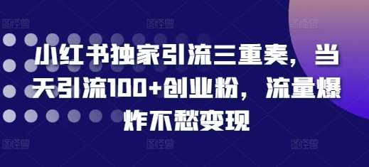 小红书独家引流三重奏，当天引流100+创业粉，流量爆炸不愁变现【揭秘】-云壹网创