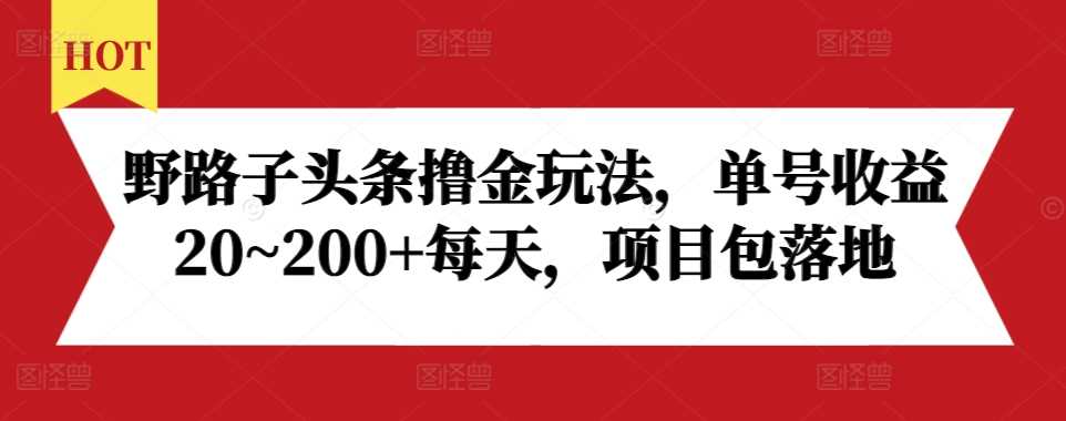 野路子头条撸金玩法，单号收益20~200+每天，项目包落地-云壹网创