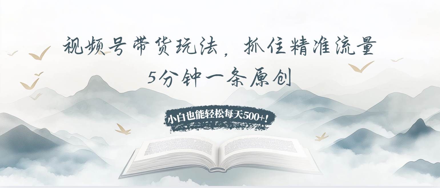 （13492期）视频号带货玩法，抓住精准流量，5分钟一条原创，小白也能轻松每天500+！-云壹网创