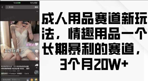 成人用品赛道新玩法，情趣用品一个长期暴利的赛道，3个月收益20个【揭秘】-云壹网创