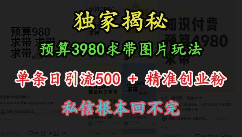 预算3980求带 图片玩法，单条日引流500+精准创业粉，私信根本回不完-云壹网创