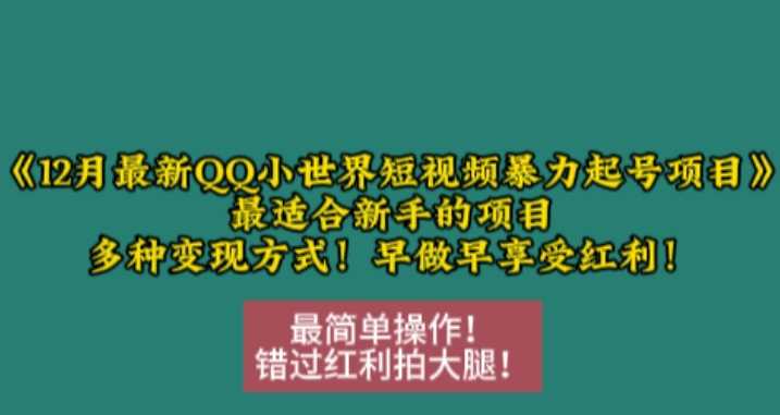 12月最新QQ小世界短视频暴力起号项目，最适合新手的项目，多种变现方式-云壹网创