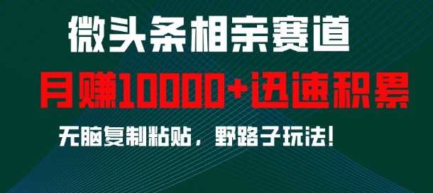 微头条相亲赛道，迅速积累，无脑复制粘贴，野路子玩法，月入1w-云壹网创