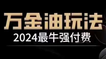 2024最牛强付费，万金油强付费玩法，干货满满，全程实操起飞（更新12月）-云壹网创