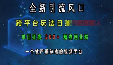 全新引流风口，跨平台玩法日入上k，单日狂揽200+精准创业粉，一个被严重忽略的视频平台-云壹网创