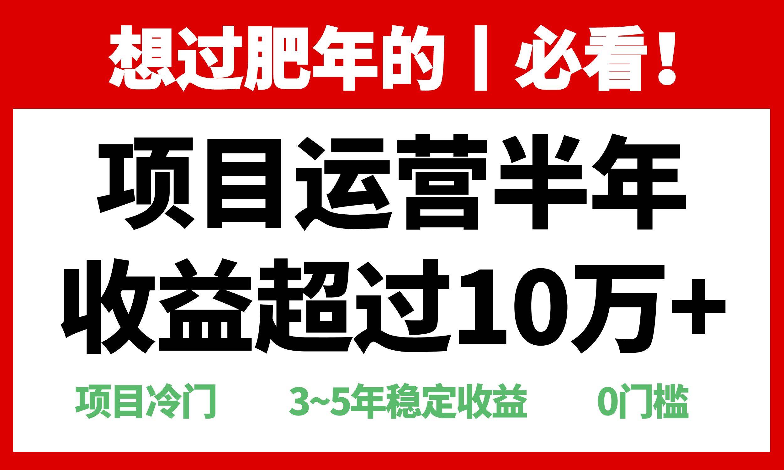 （13663期）年前过肥年的必看的超冷门项目，半年收益超过10万+，-云壹网创