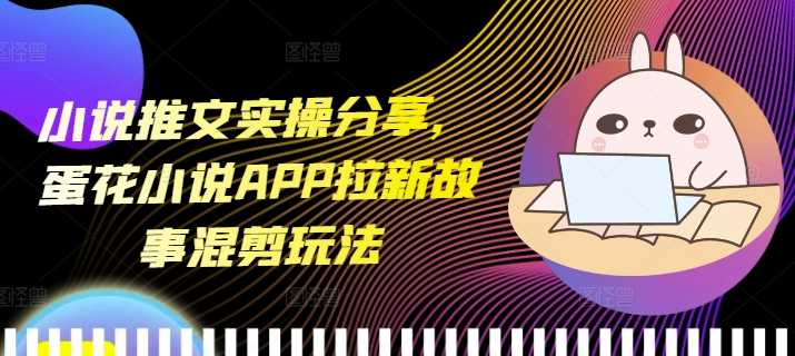 小说推文实操分享，蛋花小说APP拉新故事混剪玩法-云壹网创