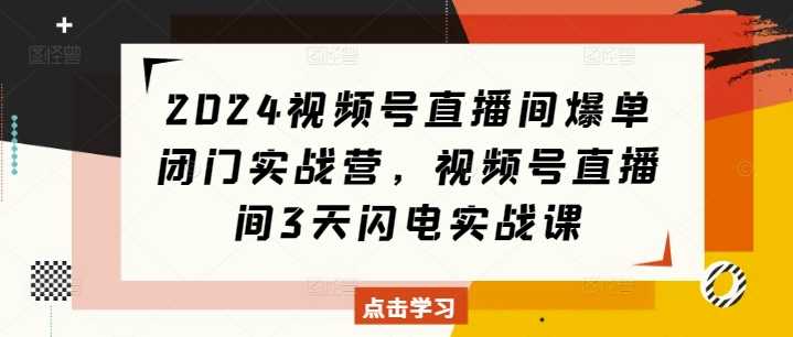 2024视频号直播间爆单闭门实战营，视频号直播间3天闪电实战课-云壹网创