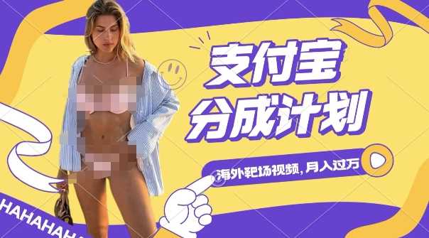 利用海外靶场射击视频，挣支付宝分成收益，轻松月入过W【揭秘】-云壹网创