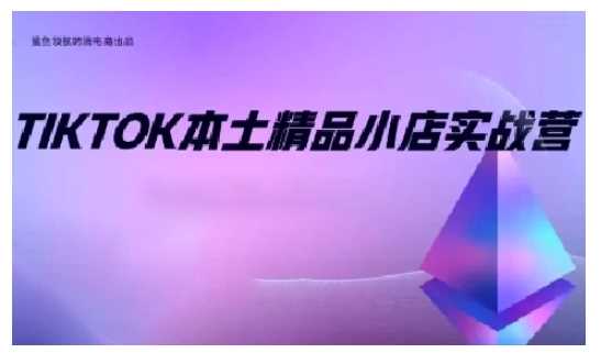 TikTok本土精品小店出海实战营，从入门到高阶，不止0-1!-云壹网创