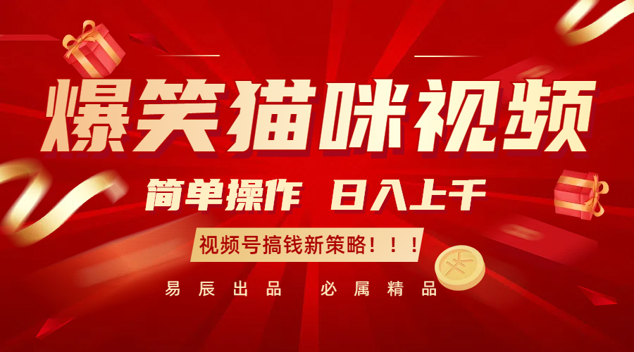 爆笑猫咪视频：简单操作，日入过千，视频号搞钱新策略！-云壹网创