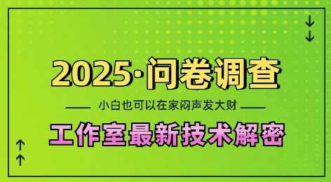2025问卷调查最新工作室技术解密：一个人在家也可以闷声发大财，小白一天2张，可矩阵放大【揭秘】-云壹网创