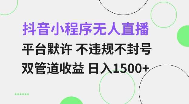 抖音小程序无人直播 平台默许 不违规不封号 双管道收益 日入多张 小白也能轻松操作【仅揭秘】-云壹网创