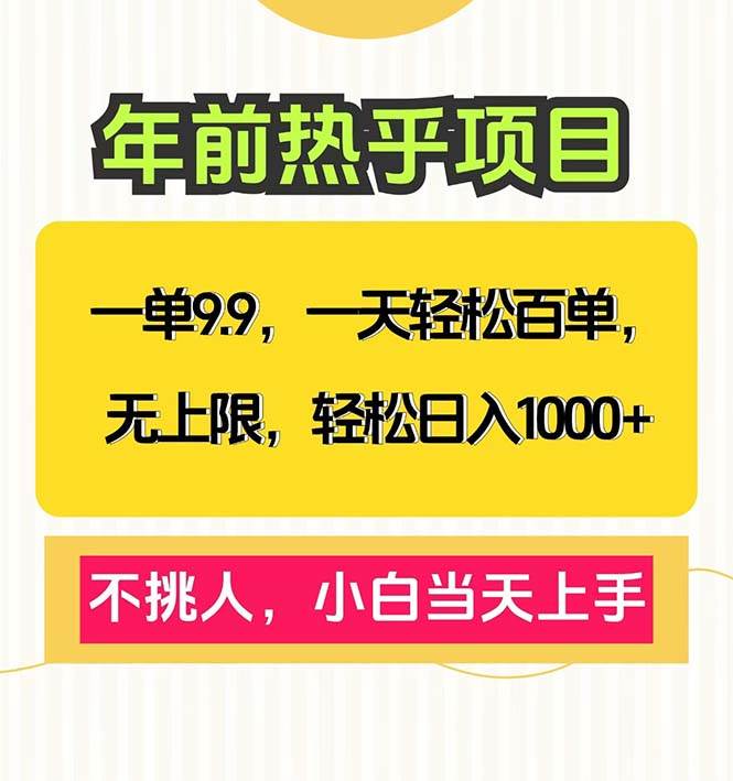 （13795期）一单9.9，一天百单无上限，不挑人，小白当天上手，轻松日入1000+-云壹网创