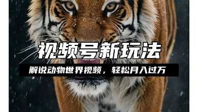 利用动物世界解说视频，赚分成计划收益，轻松月入过W，操作简单【揭秘】-云壹网创