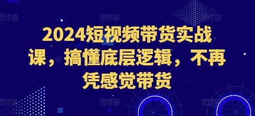 2024短视频带货实战课，搞懂底层逻辑，不再凭感觉带货-云壹网创