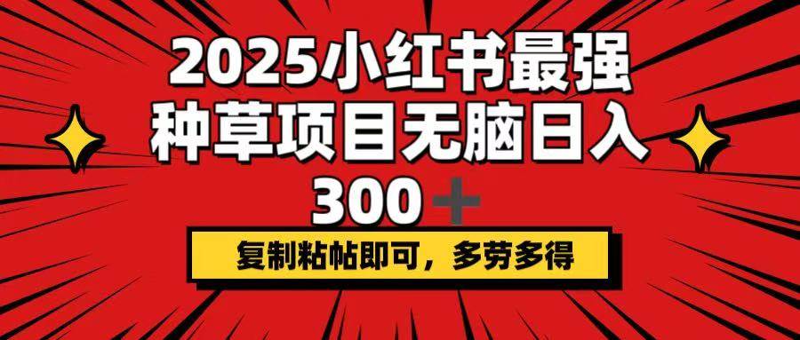 2025小红书最强种草项目，无脑日入300+，复制粘帖即可，多劳多得-云壹网创