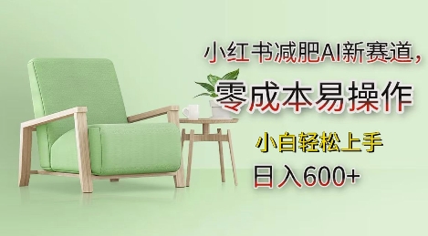 小红书减肥AI新赛道，零成本易操作，日入多张，小白轻松上手【揭秘】-云壹网创