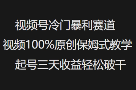 视频号冷门暴利赛道视频100%原创保姆式教学起号三天收益轻松破千-云壹网创