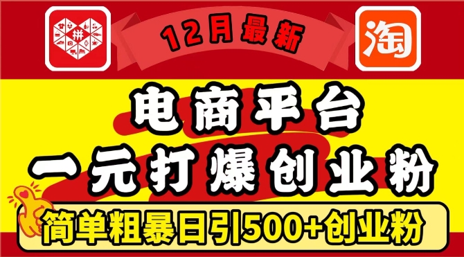 12月最新：电商平台1元打爆创业粉，简单粗暴日引500 精准创业粉，轻松月入过W【揭秘】-云壹网创