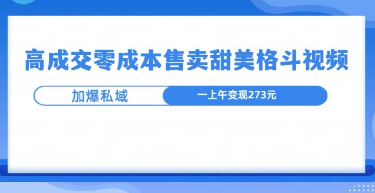 高成交零成本，售卖甜妹格斗视频，可以实现日入过k-云壹网创