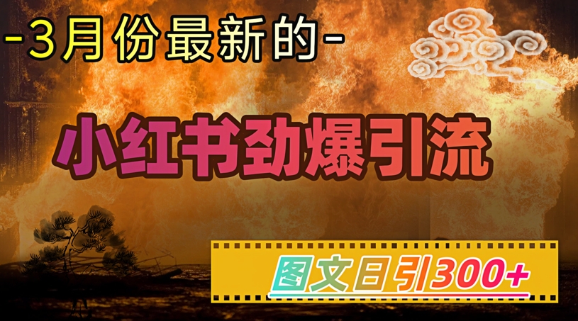小红书超劲爆引流手段，图文日引300+轻松变现1W-云壹网创