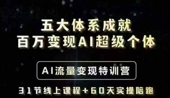五大体系成就百万变现AI超级个体- AI流量变现特训营，一步一步教你一个人怎么年入百W-云壹网创