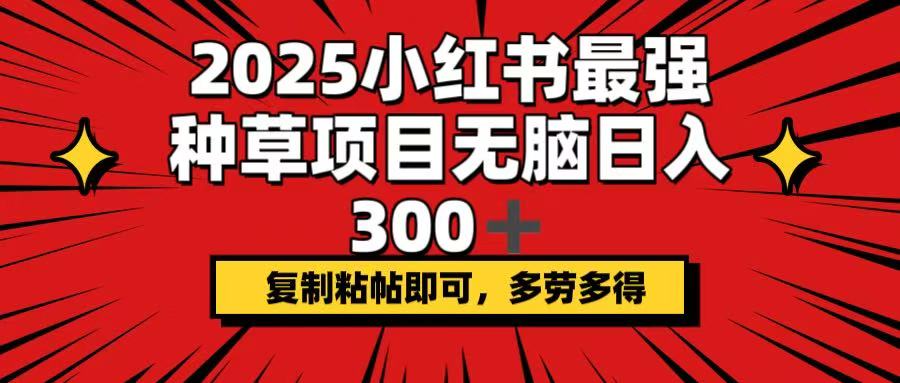 2025小红书最强种草项目，无脑日入300+，复制粘帖即可，多劳多得-云壹网创