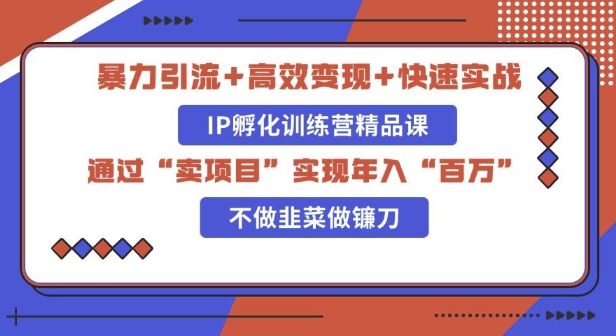 知识付费独家玩法：精准引流 高效变现，简单复制成功模式，最新IP共创导师训练营玩法-云壹网创
