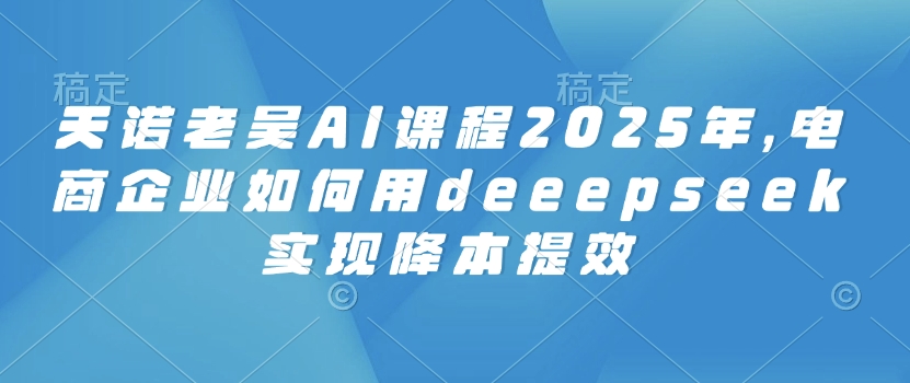 天诺老吴AI课程2025年，电商企业如何用deeepseek实现降本提效-云壹网创