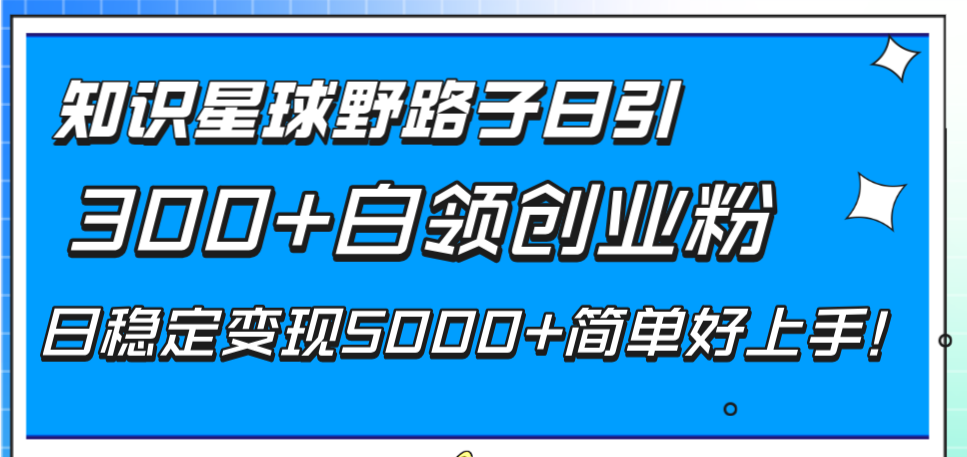 （8315期）知识星球野路子日引300+白领创业粉，日稳定变现5000+简单好上手！-云壹网创
