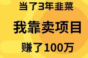 （10149期）当了3年韭菜，我靠卖项目赚了100万-云壹网创