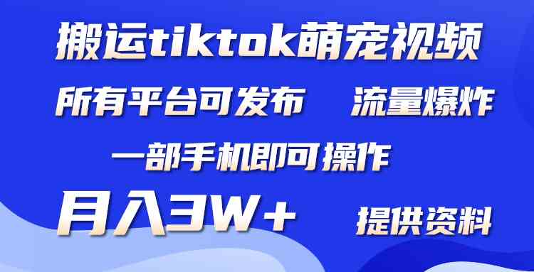 （9618期）搬运Tiktok萌宠类视频，一部手机即可。所有短视频平台均可操作，月入3W+-云壹网创