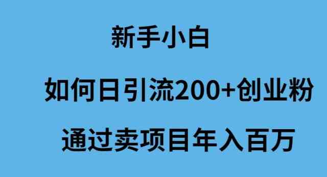 （9668期）新手小白如何日引流200+创业粉通过卖项目年入百万-云壹网创