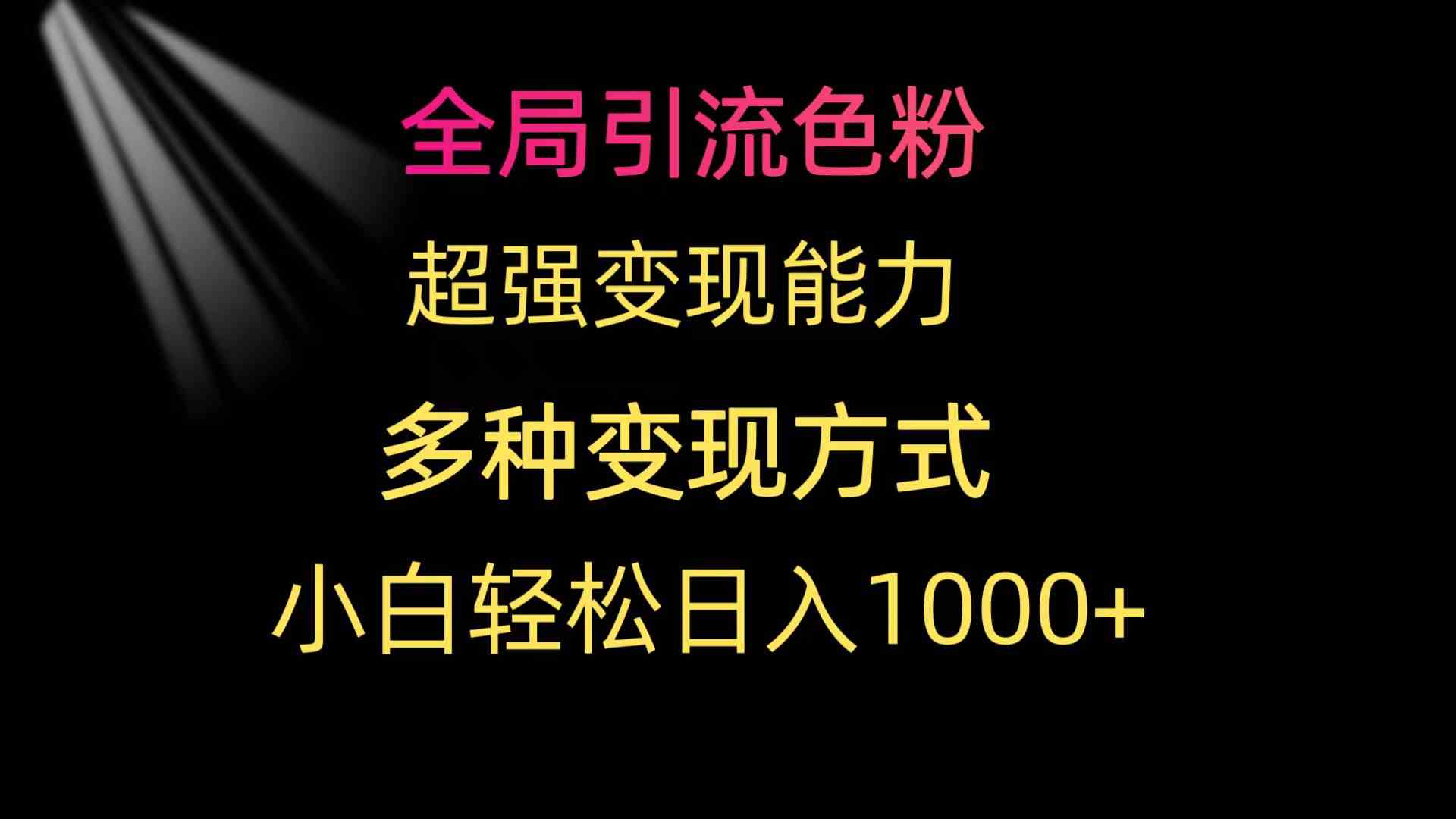 （9680期）全局引流色粉 超强变现能力 多种变现方式 小白轻松日入1000+-云壹网创
