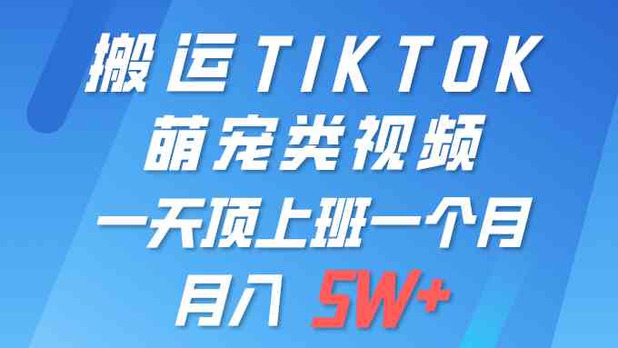 （9931期）一键搬运TIKTOK萌宠类视频 一部手机即可操作 所有平台均可发布 轻松月入5W+-云壹网创