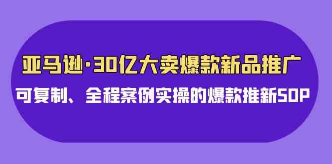 （9944期）亚马逊30亿·大卖爆款新品推广，可复制、全程案例实操的爆款推新SOP-云壹网创