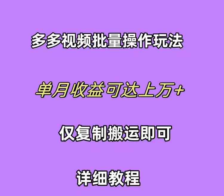 （10029期）拼多多视频带货快速过爆款选品教程 每天轻轻松松赚取三位数佣金 小白必…-云壹网创