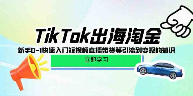 （10035期）TikTok-出海淘金，新手0-1快速入门短视频直播带货等引流到变现的知识-云壹网创