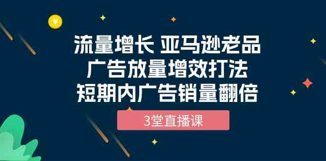 （10112期）流量增长 亚马逊老品广告放量增效打法，短期内广告销量翻倍（3堂直播课）-云壹网创