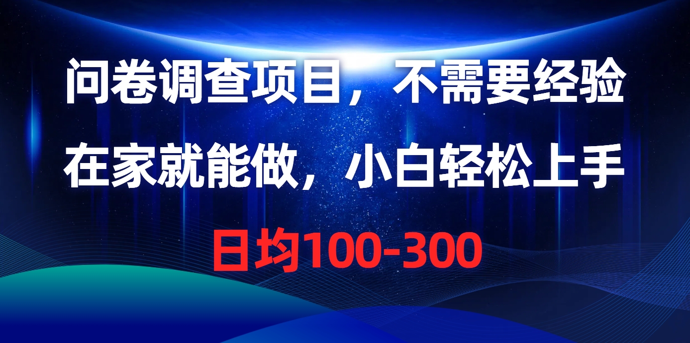 （10402期）问卷调查项目，不需要经验，在家就能做，小白轻松上手，日均100-300-云壹网创