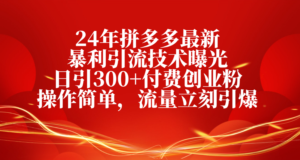 （10559期）24年拼多多最新暴利引流技术曝光，日引300+付费创业粉，操作简单，流量…-云壹网创