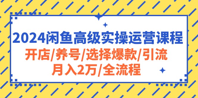 （10711期）2024闲鱼高级实操运营课程：开店/养号/选择爆款/引流/月入2万/全流程-云壹网创
