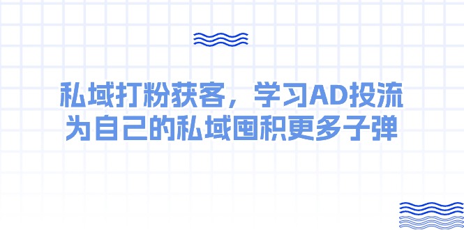 （10728期）某收费课：私域打粉获客，学习AD投流，为自己的私域囤积更多子弹-云壹网创