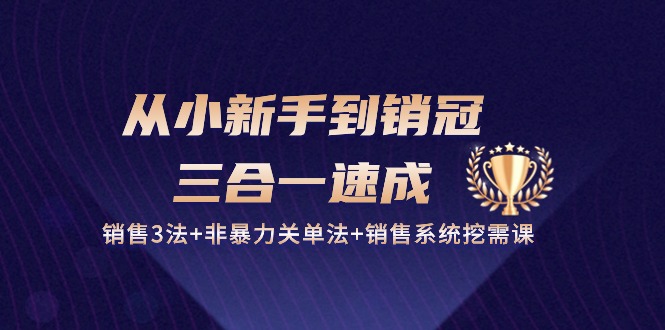 (10799期)从小新手到销冠 三合一速成:销售3法+非暴力关单法+销售系统挖需课 (27节)-云壹网创