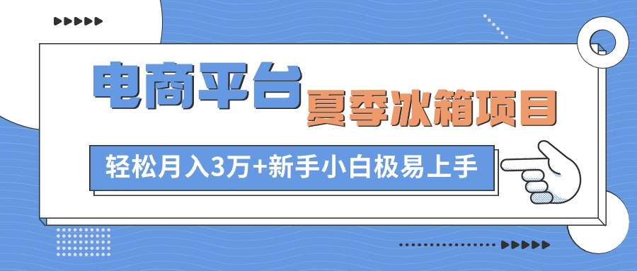 （10934期）电商平台夏季冰箱项目，轻松月入3万+，新手小白极易上手-云壹网创
